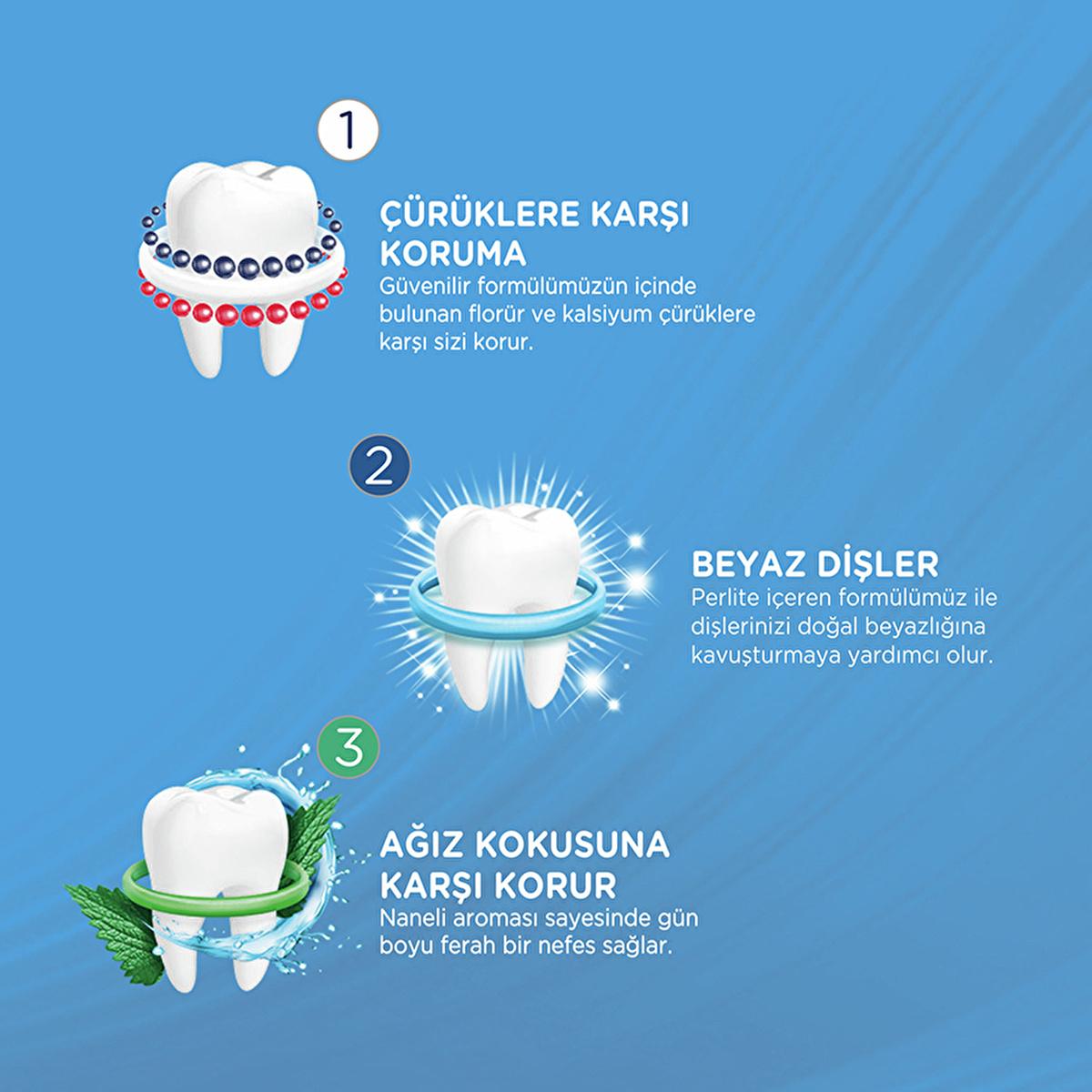 Signal Toothpaste Triple Protection with Fluoride & Calcium - 4.06 fl oz - Fresh Minty Flavor by Beauty Care Bag