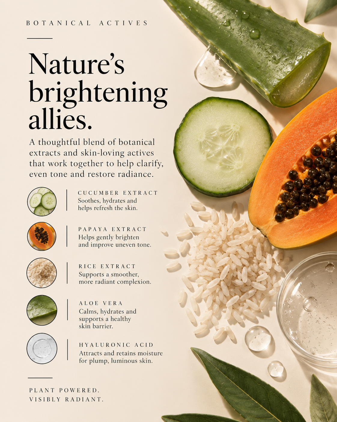 Botanical Day Serum by Francesco Palmieri