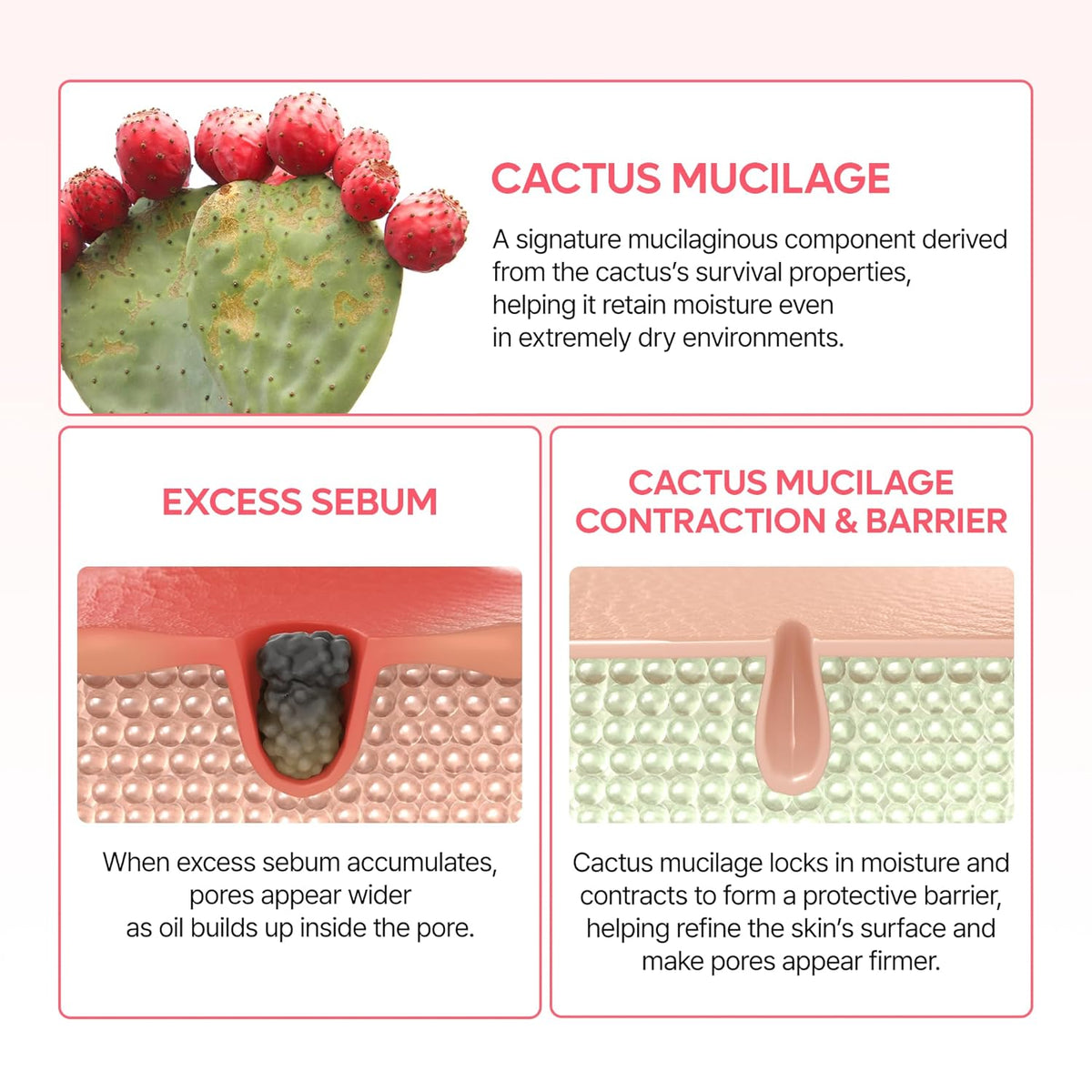 Dr.Melaxin CACTOX Pore Relief Dual Capsule Cream by AsiaBeautyMall