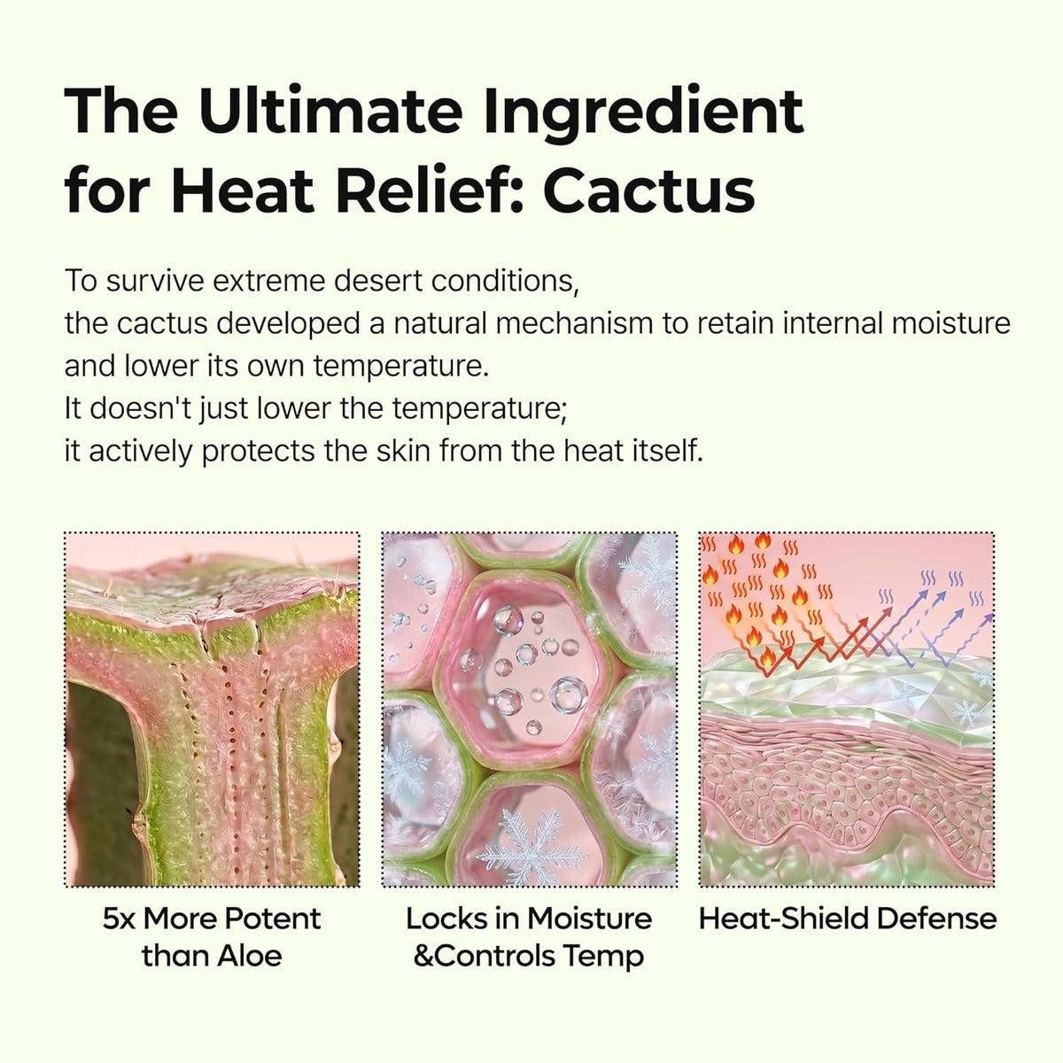 Dr. Melaxin CACTOX Pore Relief Multi Balm by AsiaBeautyMall