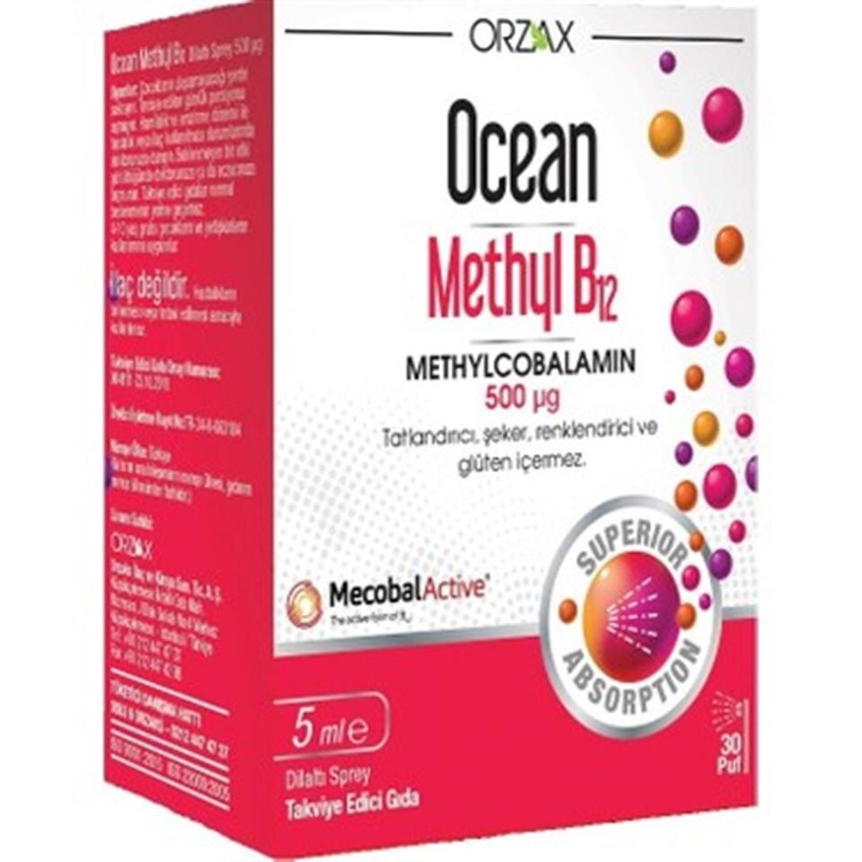 Ocean Vitamin B12 Methylcobalamin Sublingual Spray Supplement for Adults & Children - 500 mg, 5 ml by Beauty Care Bag