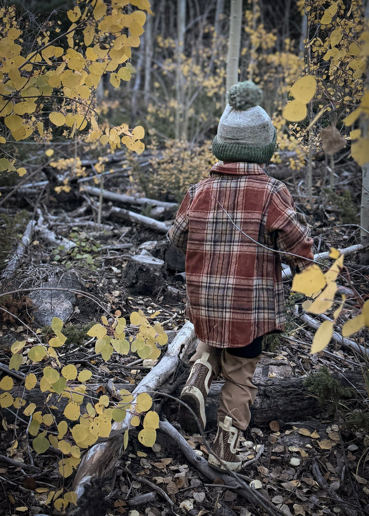 Fall flannel by Keep the Littles Wild