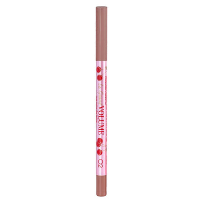 Vivienne Sabo Le Grand Volume Gel Lipliner 02 Warm Nude 1.2g by Beauty Care Bag