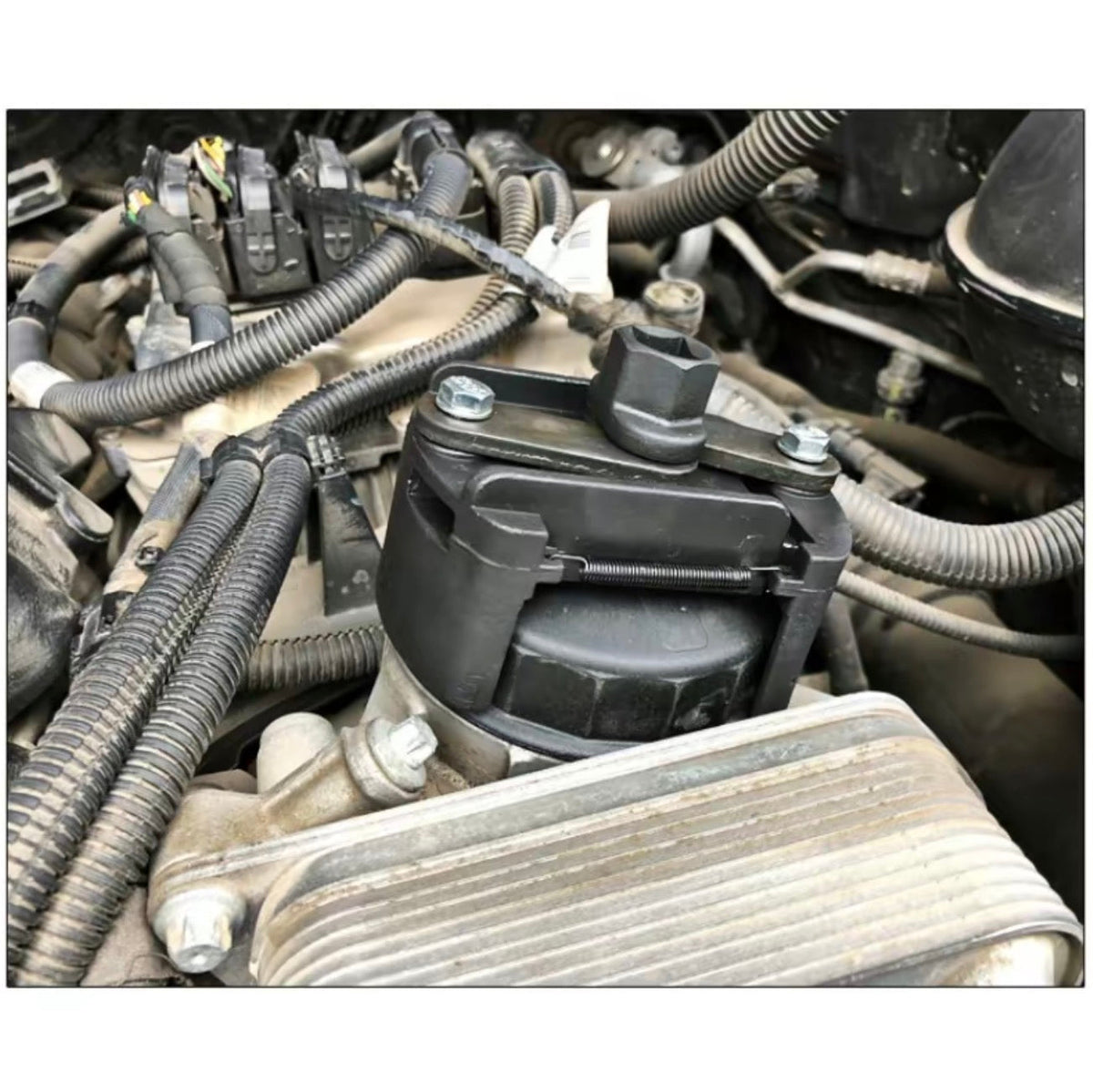 Garage-Grade Oil Filter Wrench by V.I.P Digital Presence