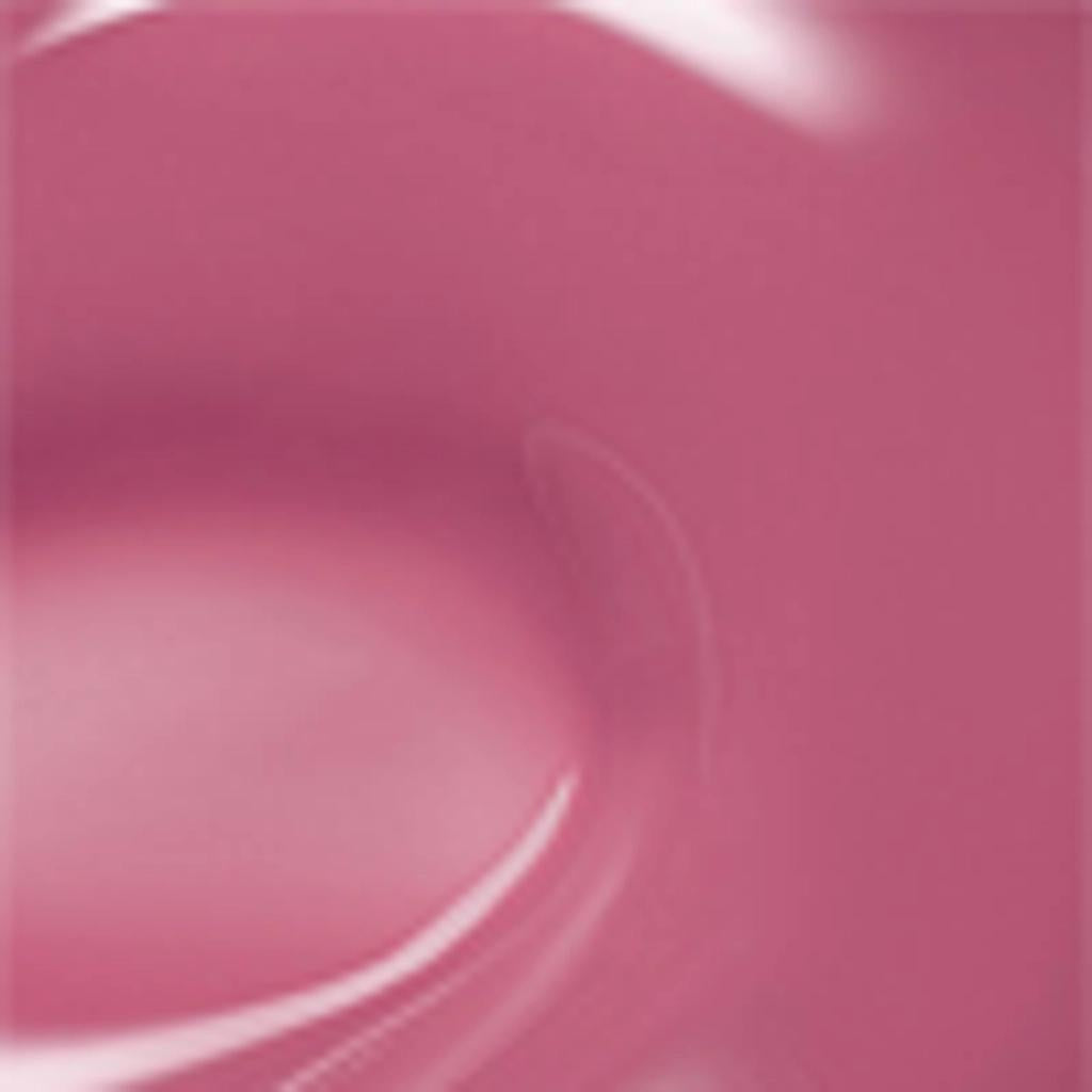 Nuse Liptual Lip Gloss 08 Coolish for Hydrated Lips by Beauty Care Bag
