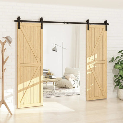 Barn Door Track Kit for Double Door (No Door) by HAUSVITA