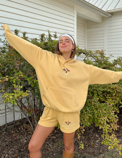 Better Days Butterfly Unisex Hoodie by Elevated Faith