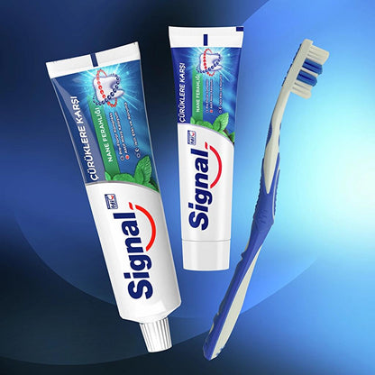 Signal Anti-Cavity Mint Freshness Toothpaste 100 ml by Beauty Care Bag
