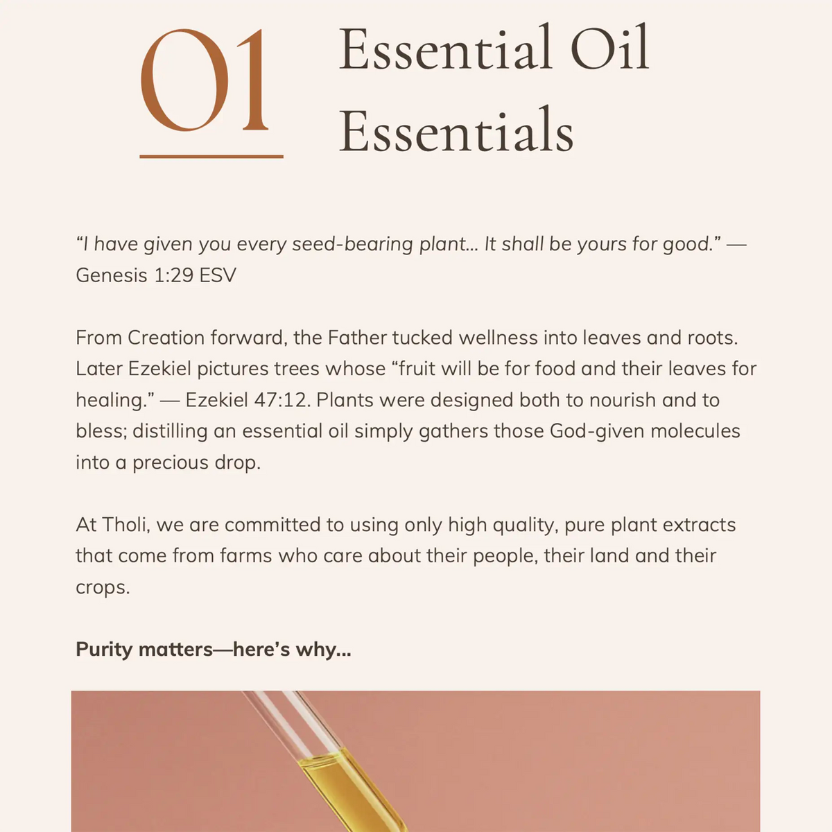 Tholi Oil Anointed for Every Step (Digital eBook) by Tholi Oil