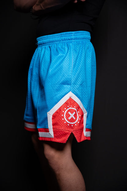 Chopper retro anime basketball mesh shorts