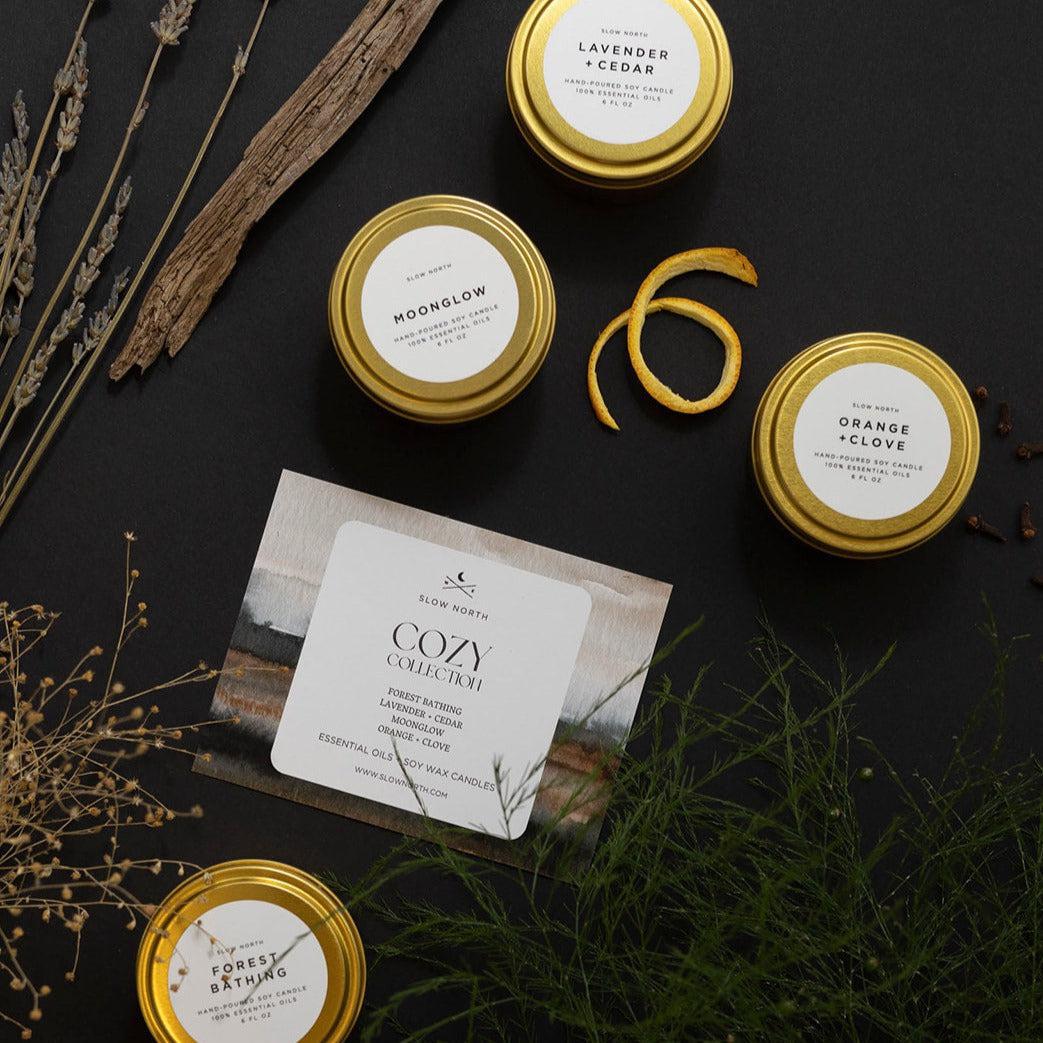 Cozy Collection - 4 Pack by Slow North