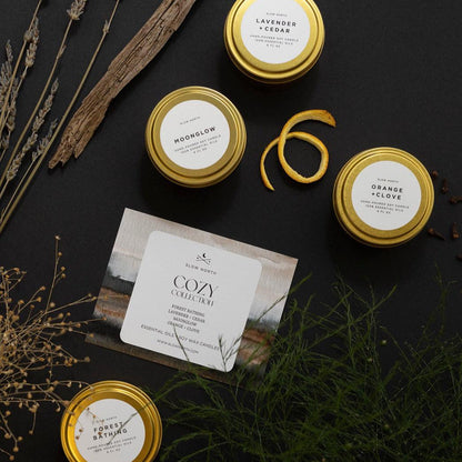 Cozy Collection - 4 Pack by Slow North