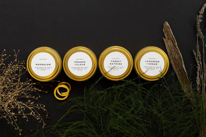 Cozy Collection - 4 Pack by Slow North