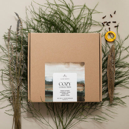 Cozy Collection - 4 Pack by Slow North