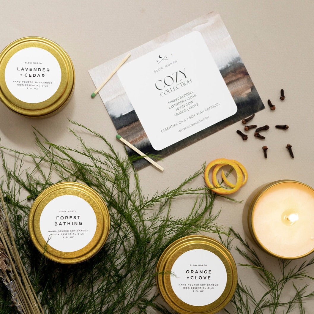 Cozy Collection - 4 Pack by Slow North