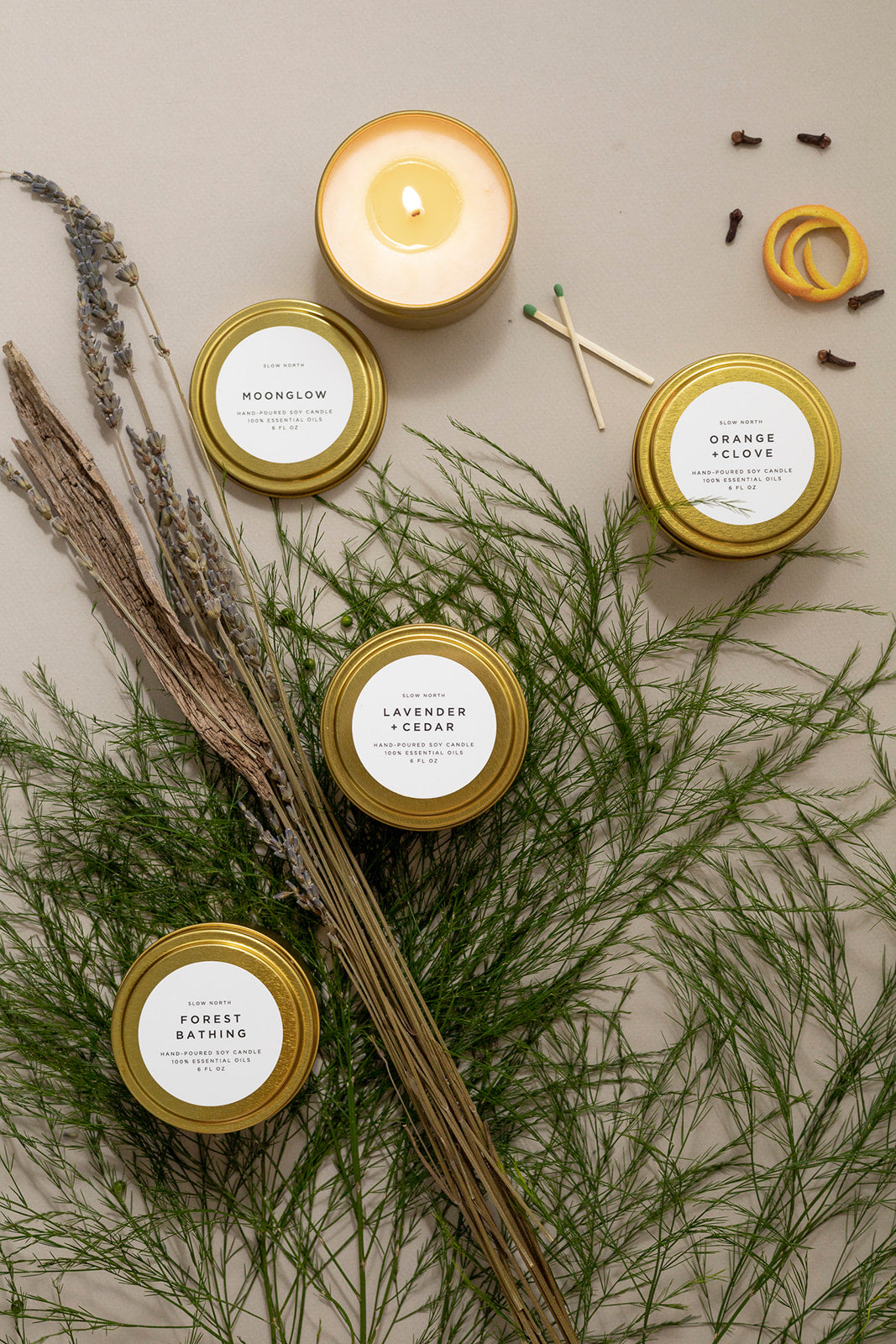 Cozy Collection - 4 Pack by Slow North