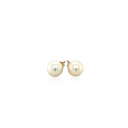 14k yellow gold 6mm freshwater cultured white pearl studs by Avera Group, view 2
