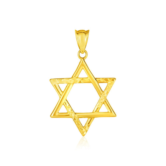 14k yellow gold textured and polished Star of David pendant by Avera Group