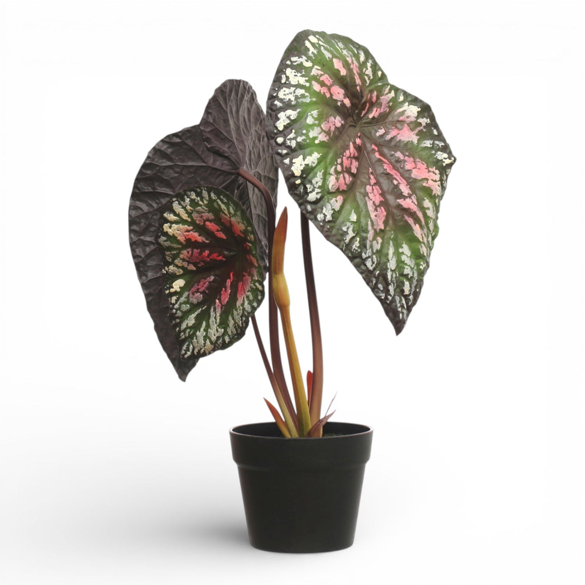Potted Faux Begonia Plant by Rust & Cinder