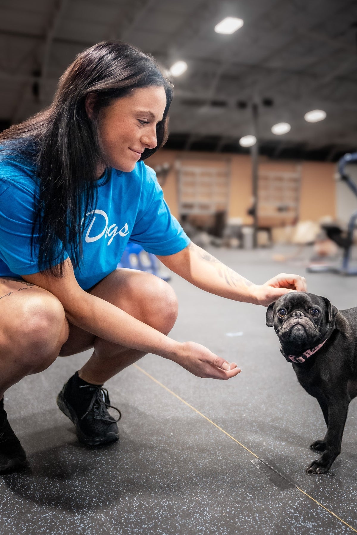 OnlyDogs - Tee by Tango Charlie Apparel