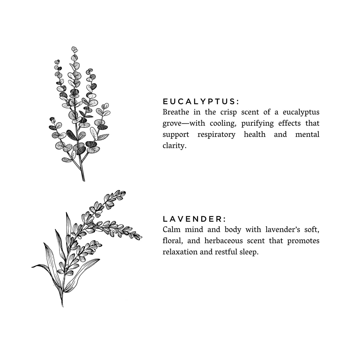Laundry Powder - Eucalyptus + Lavender by Slow North