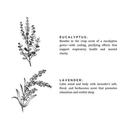Laundry Powder - Eucalyptus + Lavender by Slow North