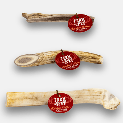 Reindeer Antler Dog Chews | Organic Chews for Dogs by Farm To Pet