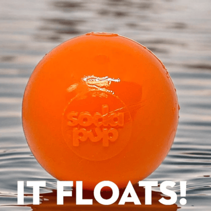 Dog Fetch Balls by Farm To Pet