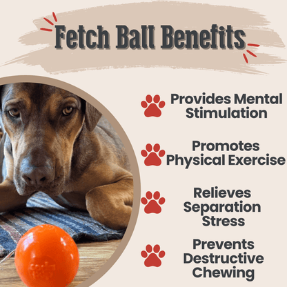 Dog Fetch Balls by Farm To Pet