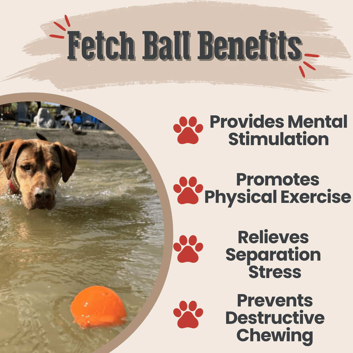 Dog Fetch Balls by Farm To Pet