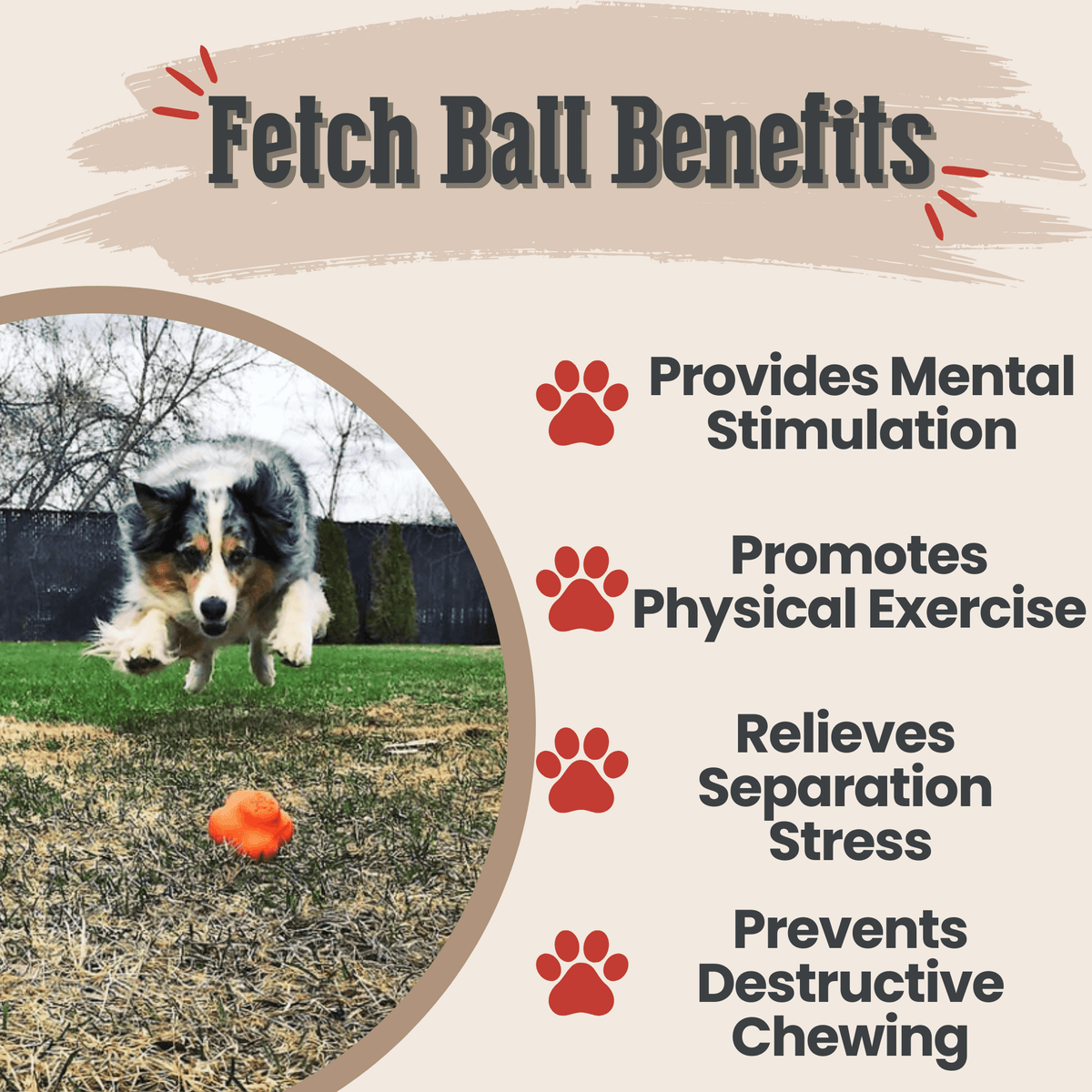 Dog Fetch Balls by Farm To Pet