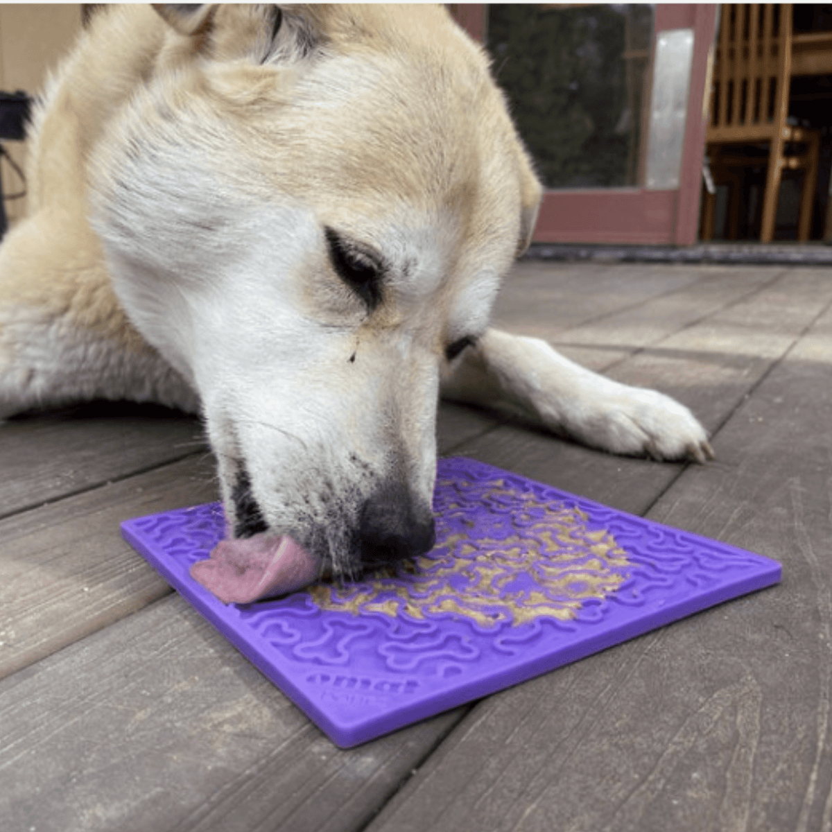 Dog Lick Mats by Farm To Pet