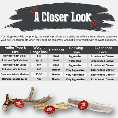 Reindeer Antler Dog Chews | Organic Chews for Dogs by Farm To Pet