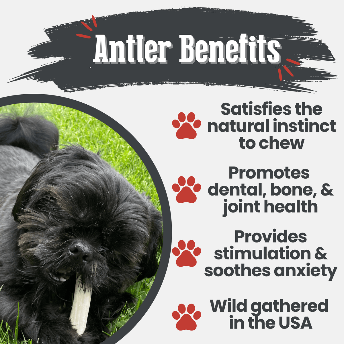 Reindeer Antler Dog Chews | Organic Chews for Dogs by Farm To Pet
