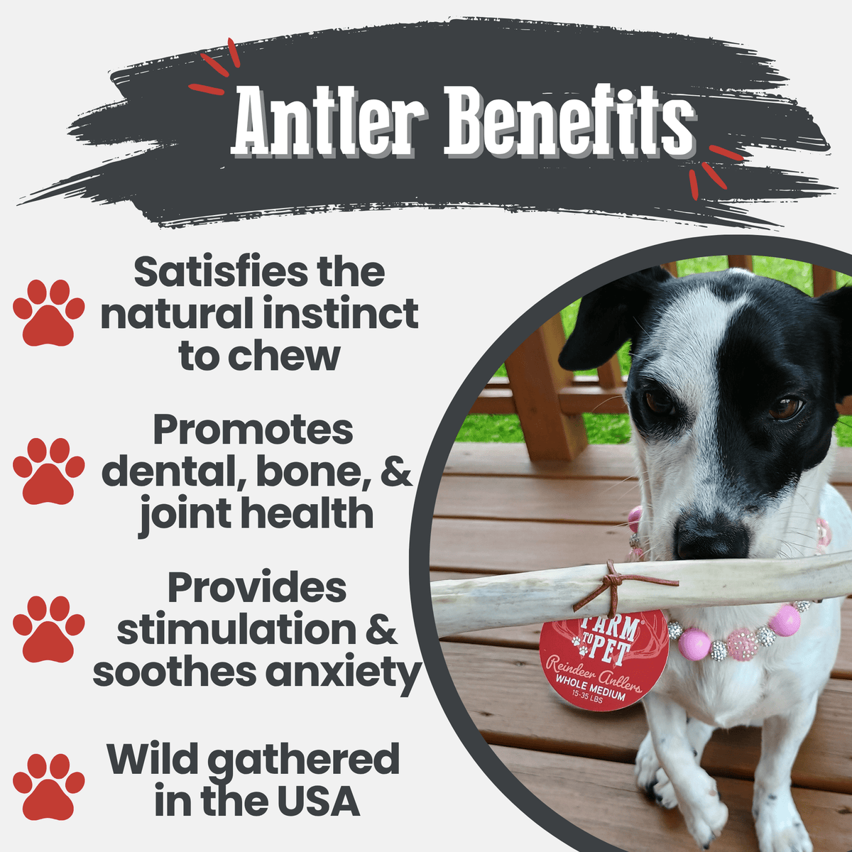 Reindeer Antler Dog Chews | Organic Chews for Dogs by Farm To Pet