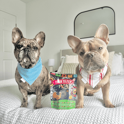 Premios Para Perros Fiesta Pack | Dog Treat Variety Bundle by Farm To Pet