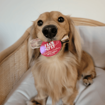 Reindeer Antler Dog Chews | Organic Chews for Dogs by Farm To Pet