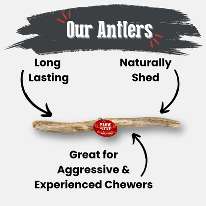 Reindeer Antler Dog Chews | Organic Chews for Dogs by Farm To Pet