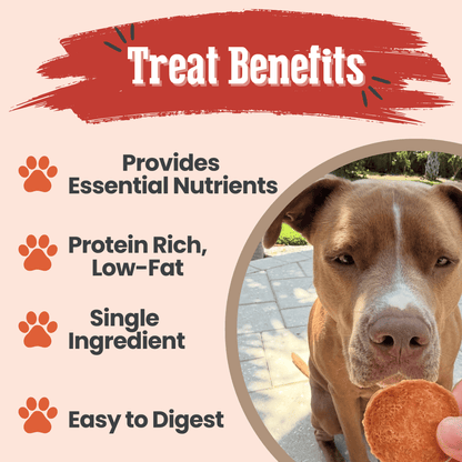 Turkey Chips for Dogs | All-Natural Single-Ingredient Healthy Dog Treats by Farm To Pet