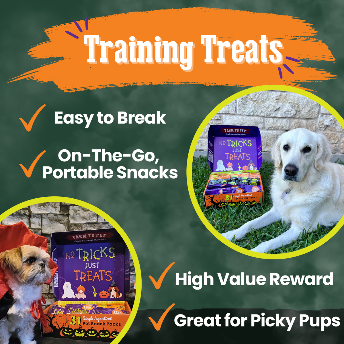 Halloween 31 Snack Pack Dog Treat Box by Farm To Pet