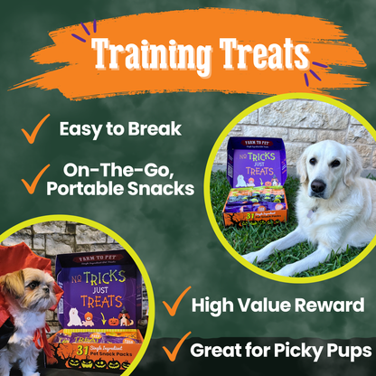 Halloween 31 Snack Pack Dog Treat Box by Farm To Pet