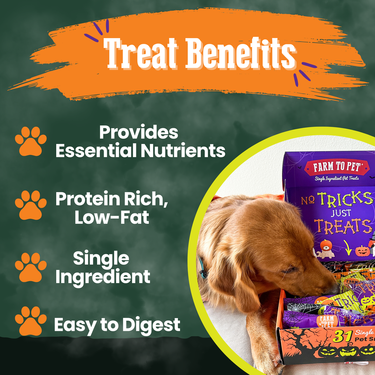 Halloween 31 Snack Pack Dog Treat Box by Farm To Pet