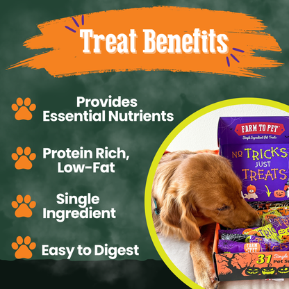 Halloween 31 Snack Pack Dog Treat Box by Farm To Pet