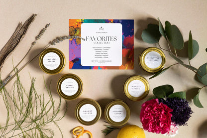 Favorites Collection - 6 Pack by Slow North