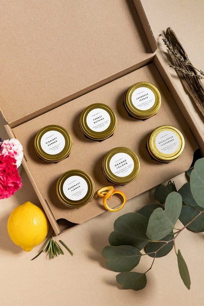 Favorites Collection - 6 Pack by Slow North