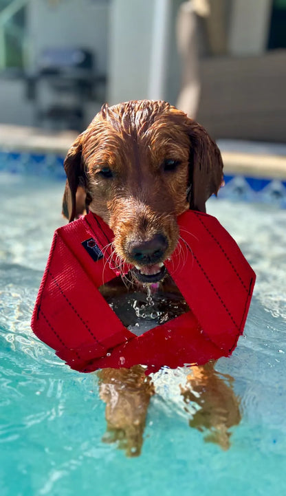 Fire Hose Dog Frisbee by Recycled Firefighter