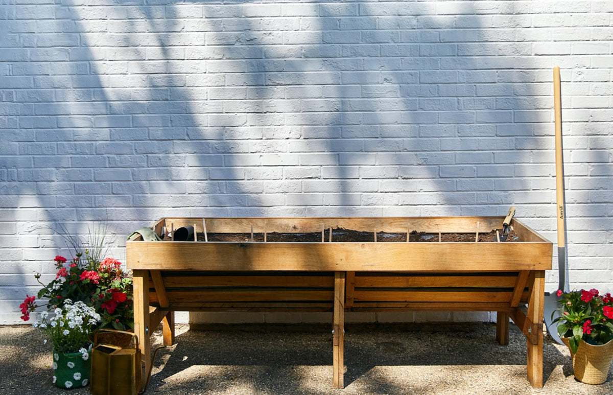 Plantable Wildflower Seed Pop Gift | Modern Sprout by Rust & Cinder