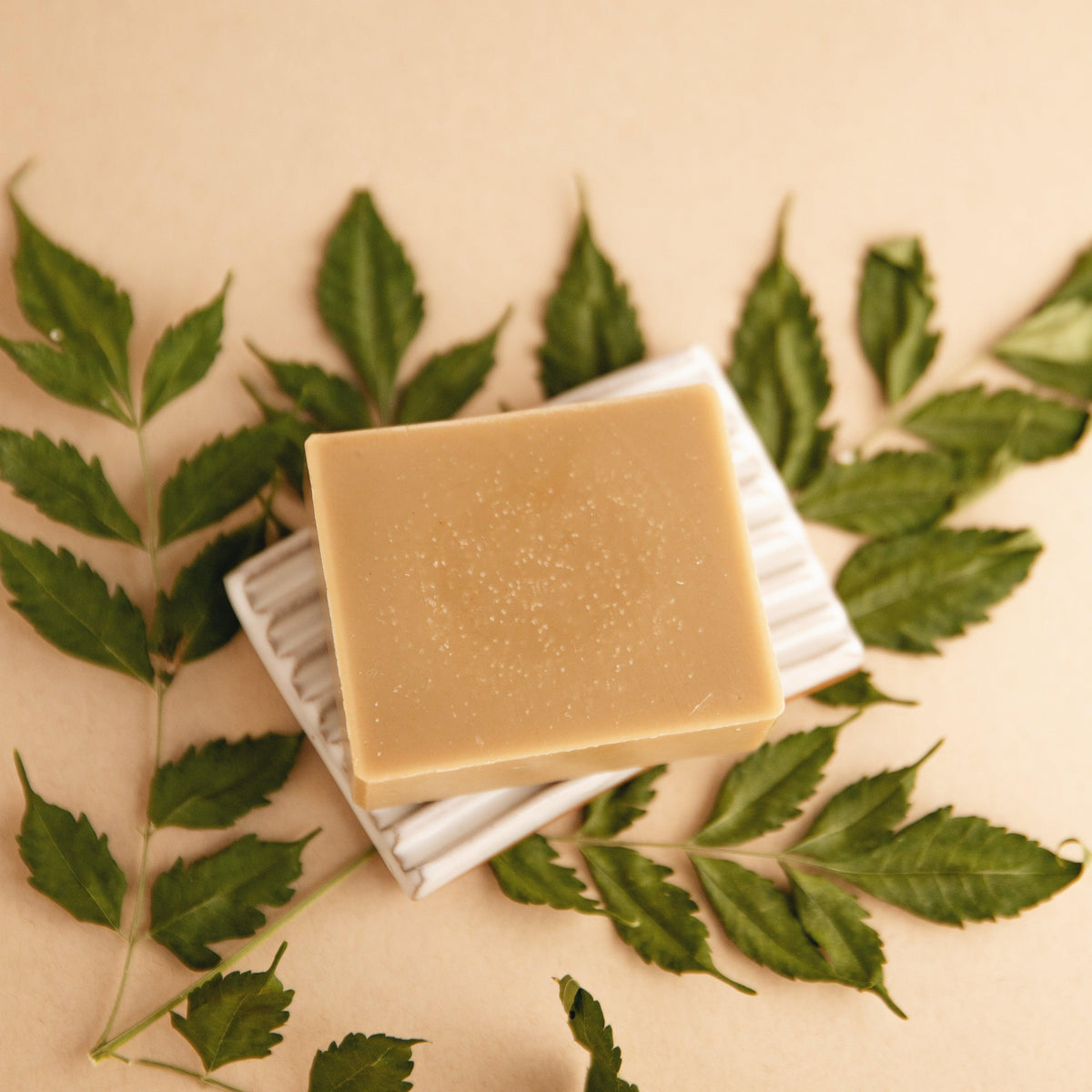 Forest Bathing - Natural Bar Soap by Slow North