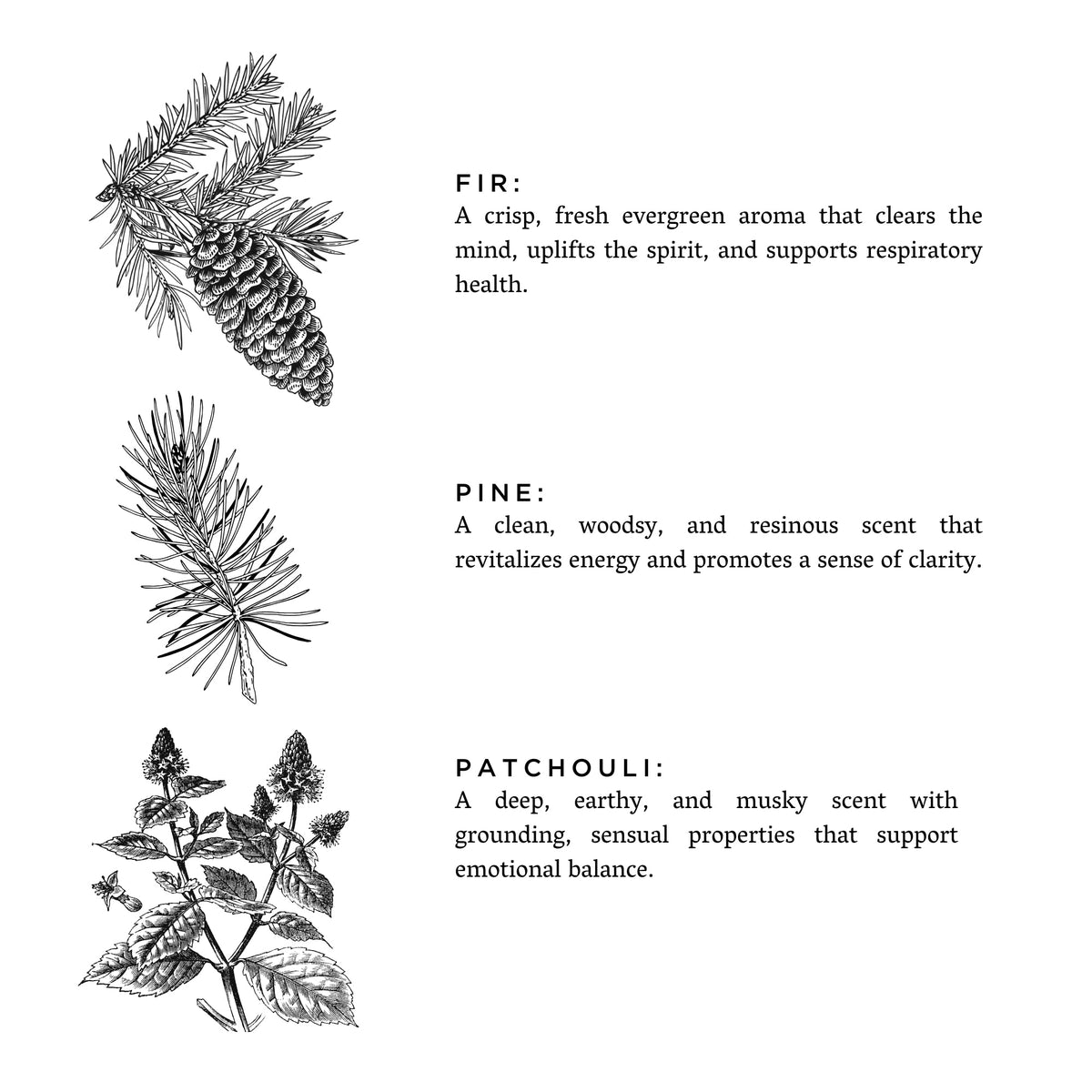 Forest Bathing - Signature 3-Wick Candle by Slow North