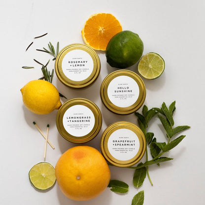 Fresh Collection - 4 Pack by Slow North